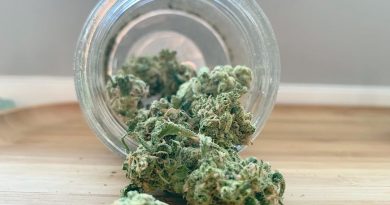 ultra sour by namaste strain review by brandiisbaked