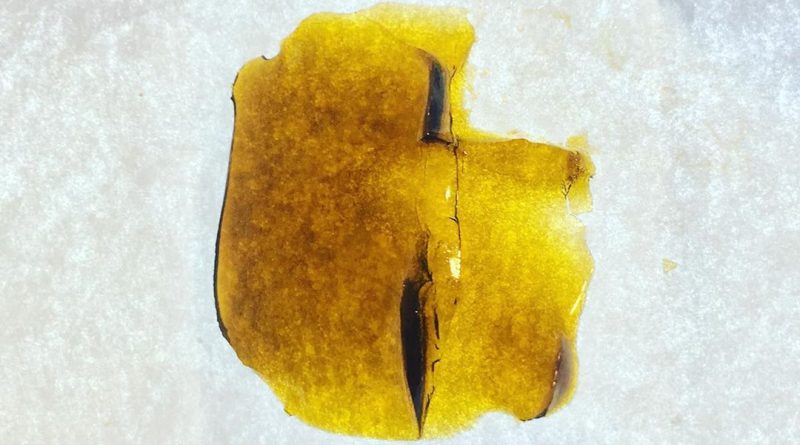 violet flame shatter by indoor sunshine concentrate review by 502strainsheet