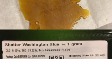 washington glue shatter by sunshine farms concentrate review by 502strainsheet