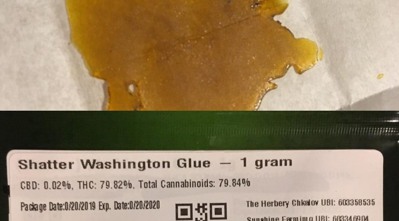 washington glue shatter by sunshine farms concentrate review by 502strainsheet