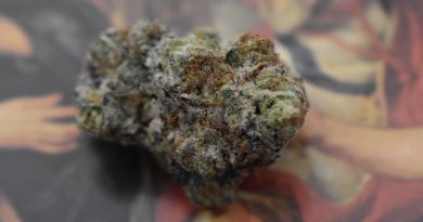 wedding crasher by symbiotic genetics strain review by _scarletts_strains_ 2