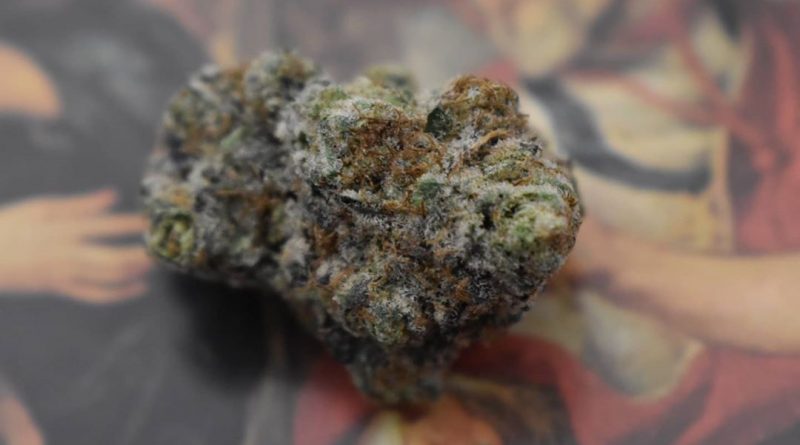 wedding crasher by symbiotic genetics strain review by _scarletts_strains_ 2