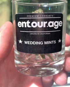 wedding mints by entourage company strain review by budfinderdc 2