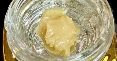 white diesel live hash rosin concentrate review by okcannacritic