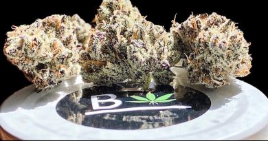 white truffle by beleaf cannabis strain review by okcannacritic 2