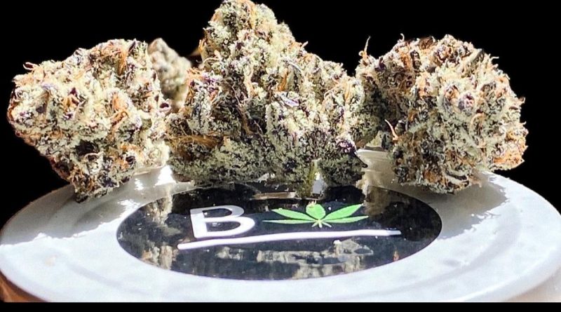 white truffle by beleaf cannabis strain review by okcannacritic 2