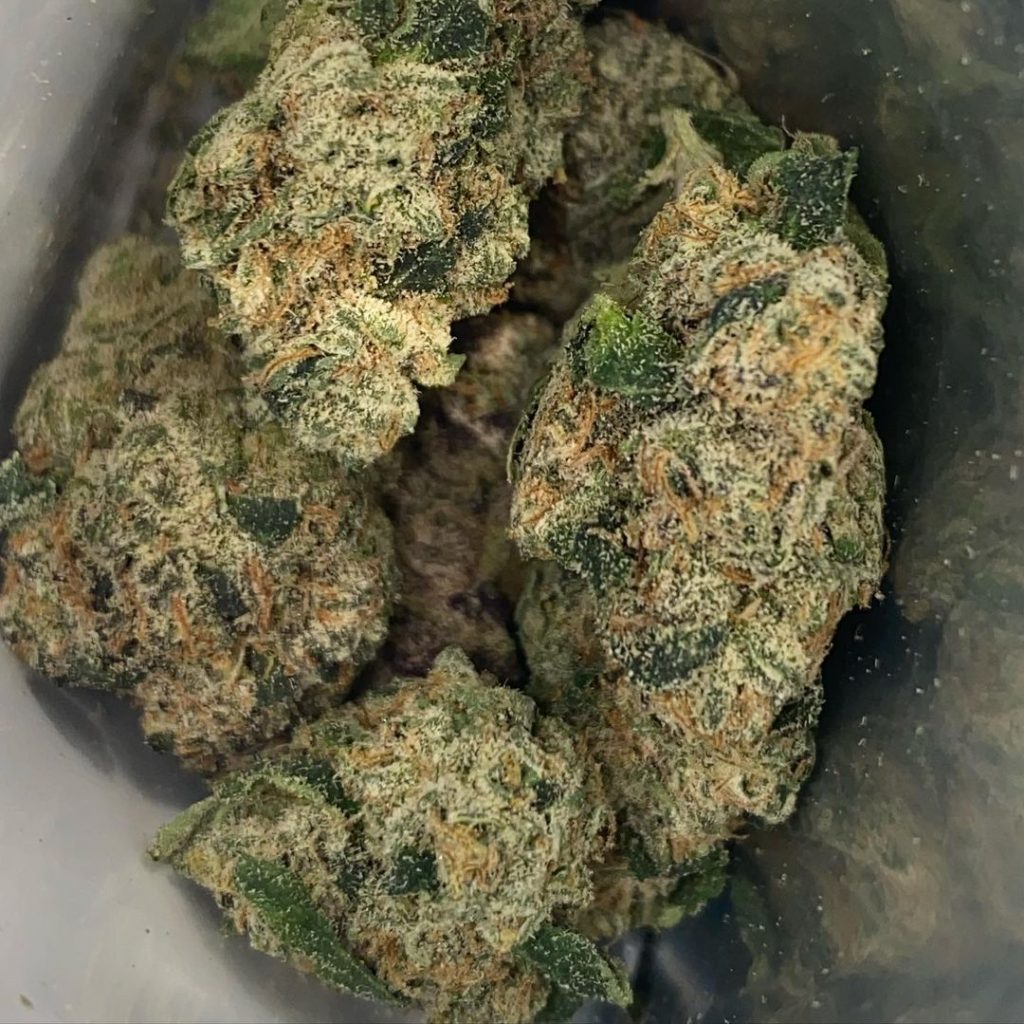 Strain Review White Zerbert by Backpack Boyz The Highest Critic