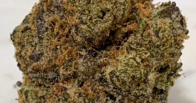 wookies by georgetown flavors strain review by budfinderdc 2