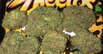 zheetos by big buddha seeds strain review by boofbusters420