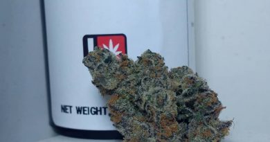 apple fritter by boring weed co strain review by pdxstoneman