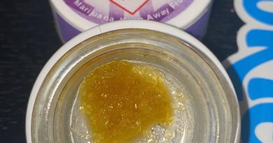 apple fritter live resin by viola concentrate review by no.mids