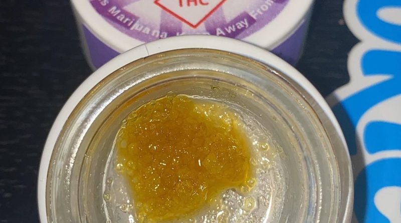 apple fritter live resin by viola concentrate review by no.mids