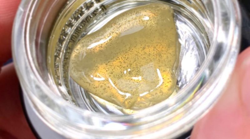 aspen og rosin by leiffa concentrates dab review by austnpickett