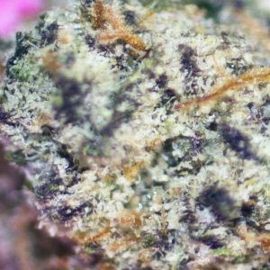 bubblegum gelato by backpack boyz strain review by bigwhiteash 2