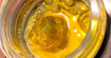 cheese berry live resin by green dot labs concentrate review by austnpickett