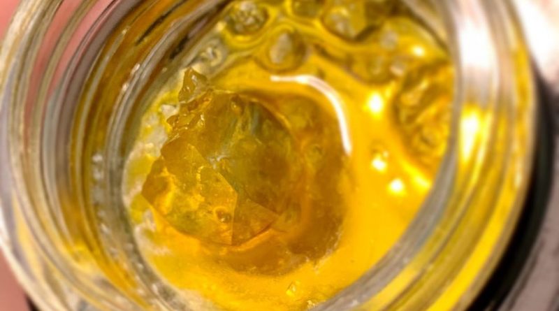 cheese berry live resin by green dot labs concentrate review by austnpickett