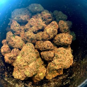 cherry strudel by billo premium cannabis strain review by austnpickett 2