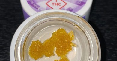 death mangoes live resin by viola concentrate review by no.mids