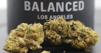 designer og by balanced los angeles strain review by cannasaurus_rex_reviews