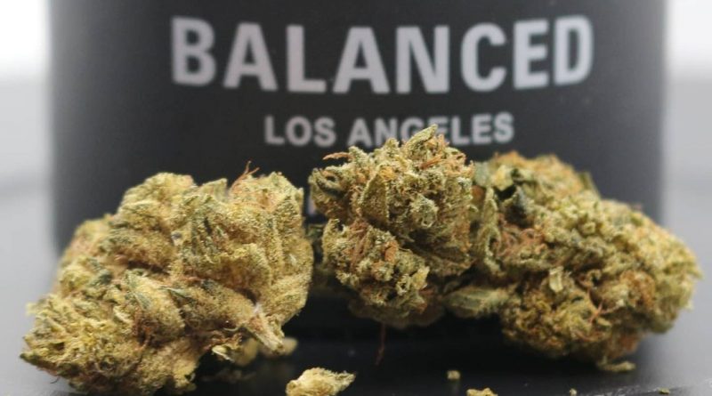 designer og by balanced los angeles strain review by cannasaurus_rex_reviews