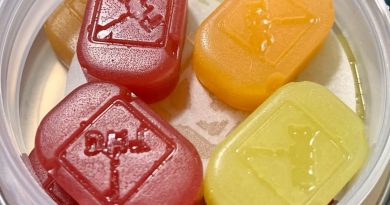 dialed in gummies edibles review by austnpickett
