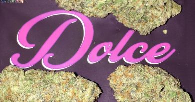 dolce by the rare la strain review by boofbusters420