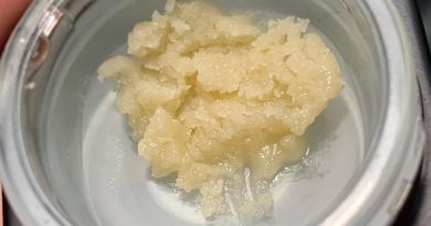 dosi d'oh rosin by nokhu labs dab review by austnpickett