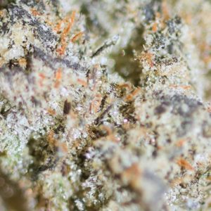 dreamsicle gelato by jelly cannabis co strain review by bigwhiteash