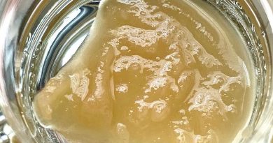 fatso #1 live rosin by green dot labs concentrate review by austnpickett