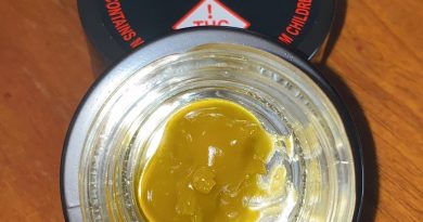 frozay live badder by habana extracts concentrate revie by no.mids