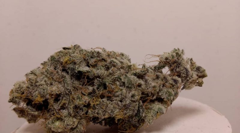 gmo by rose bud growers strain review by pdxstoneman