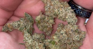 gmo from natural alternatives strain review by no.mids