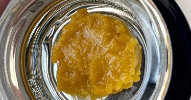 hellatight live resin by green dot labs concentrate review by austnpickett