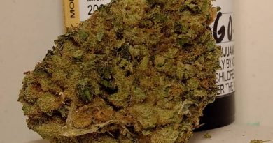 i-95 by nelson and company strain review by pdxstoneman