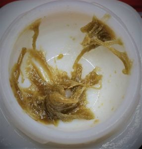 ice cream cake bubble hash by byrd extracts co concentrate review by cannasaurus_rex_reviews 2