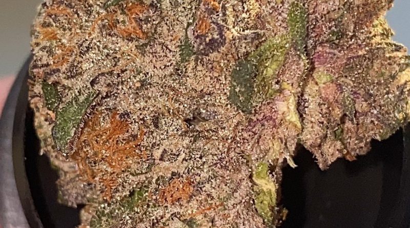 ice cream cake by champion cannabis strain review by no.mids