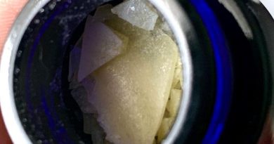 kaya's koffee #2 live rosin by 710 labs concentrate review by austnpickett