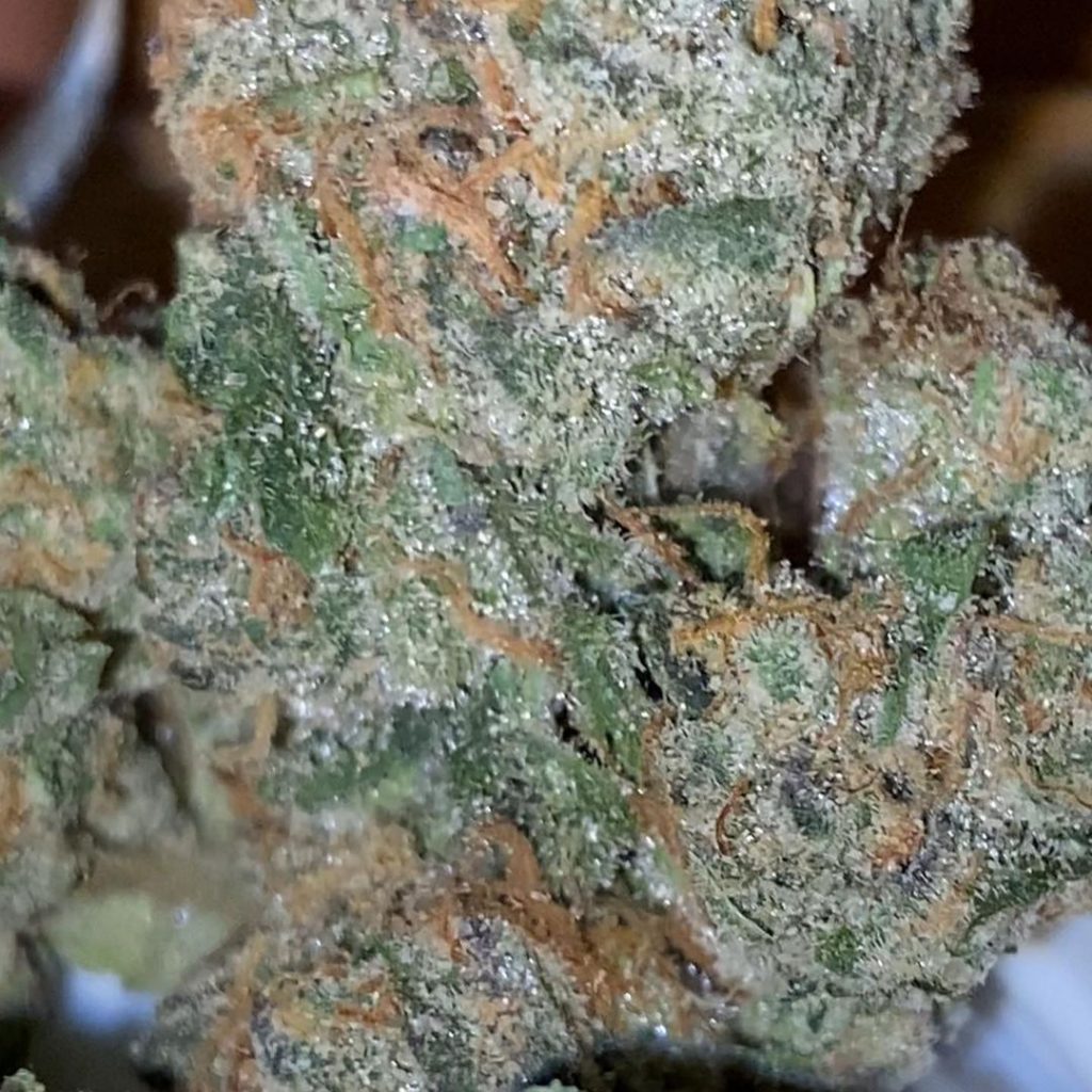 Strain Review: Lemon Cherry by Pastry's - The Highest Critic