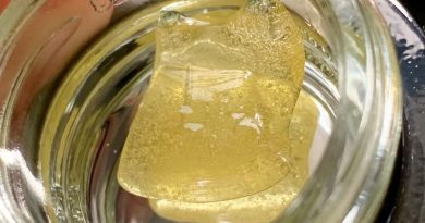 melon chunkz live rosin by leiffa concentrates dab review by austnpickett