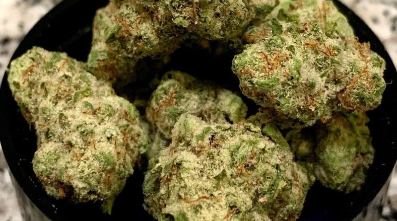 Strain Review: Modified Grapes by Bloom County Colorado - The Highest