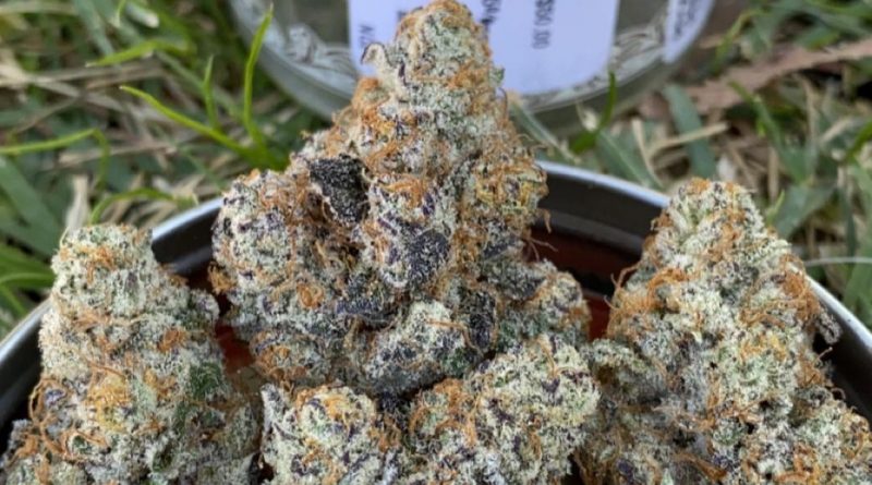 modified grapes by nectar farms strain review by slumpysmokes