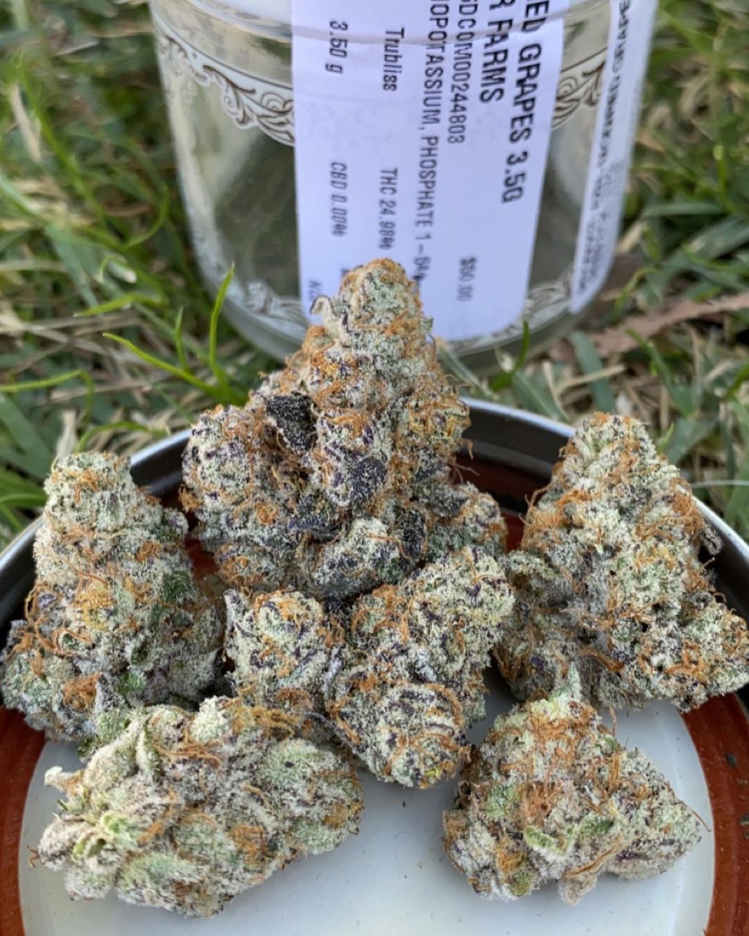 Strain Review: Modified Grapes by Nectar Farms - The Highest Critic