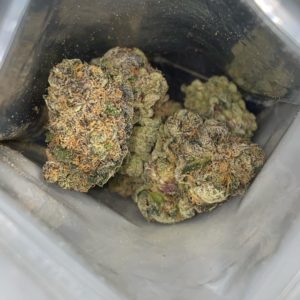 motor city magic by runtz strain review by qsexoticreviews