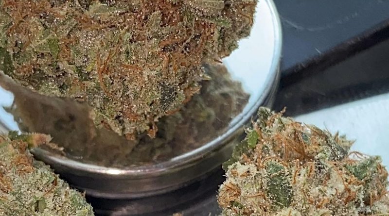 motorbreath from natural alternatives strain review by no.mids