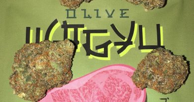 olive wagyu by the rare la strain review by boofbusters420