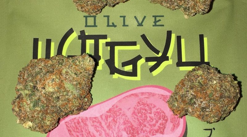 olive wagyu by the rare la strain review by boofbusters420