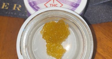 orange-mo live resin by viola concentrate review by no.mids