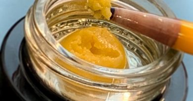 picasso live badder by green dot labs concentrate review by austnpickett