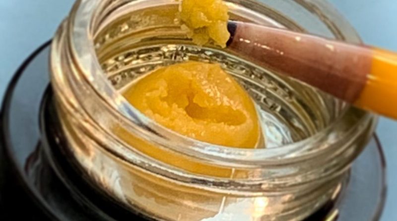 picasso live badder by green dot labs concentrate review by austnpickett