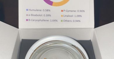 pie face wax by denver dab co concentrate review by no.mids
